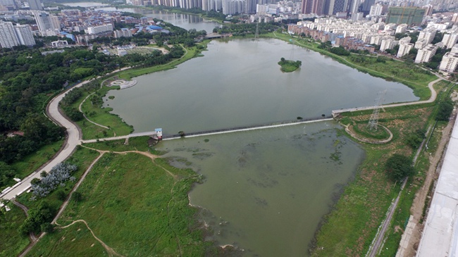 DJI_0081_副本_副本.jpg